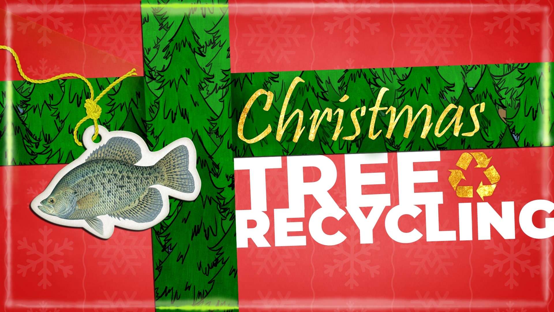 Recycle a natural Christmas tree by donating it to Kentucky Fish and